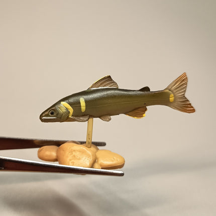 Yujin Freshwater Fish AYU SWEETFISH 2" Mini Figure Diorama Aquarium Toy Japan