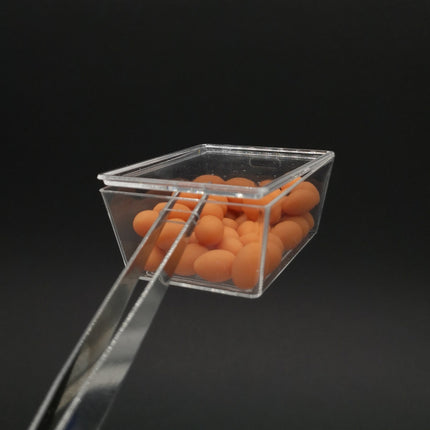Miniature Brown Eggs Lot in Clear Container – Dollhouse / Barbie Kitchen (Pre-Owned)