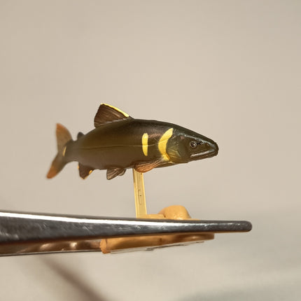 Yujin Freshwater Fish AYU SWEETFISH 2" Mini Figure Diorama Aquarium Toy Japan