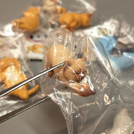 Sleeping Kitty Cats Lot of 10 – 1.5" Mini Figures Dollhouse Animals (Pre-Owned)