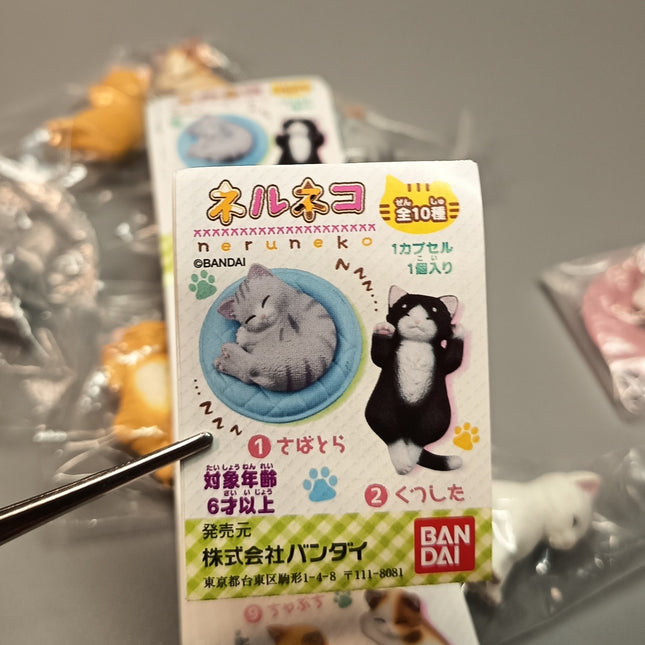 Sleeping Kitty Cats Lot of 10 – 1.5" Mini Figures Dollhouse Animals (Pre-Owned)