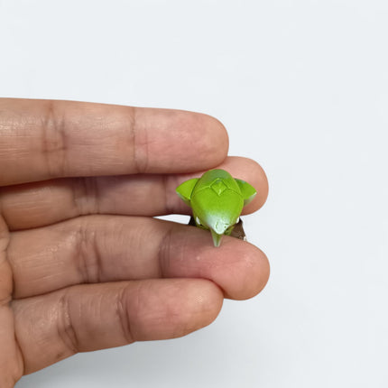 Vintage TOMY Pokemon Metapod 1.5" Mini Figure – CGTSJ (Pre-Owned)
