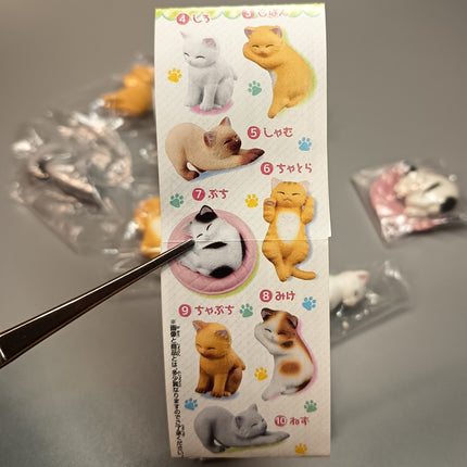 Sleeping Kitty Cats Lot of 10 – 1.5" Mini Figures Dollhouse Animals (Pre-Owned)