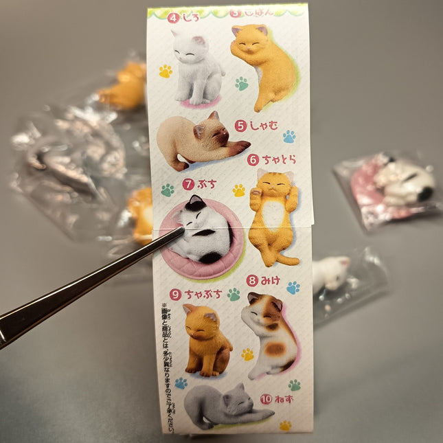 Sleeping Kitty Cats Lot of 10 – 1.5" Mini Figures Dollhouse Animals (Pre-Owned)