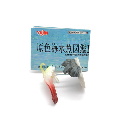 Saltwater Fish Encyclopedia GROUPER GOBY Mini Figure Diorama Yujin Rare