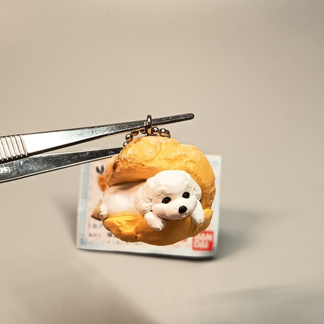 Miniature Toy Poodle Puppy in Cream Puff 1.5" Keychain Charm – Dollhouse Toy (Pre-Owned)
