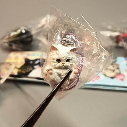 Miniature Adorable Kitty Cat Figures Lot of 8 – Keychain Dollhouse Toys (Pre-Owned)