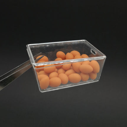 Miniature Brown Eggs Lot in Clear Container – Dollhouse / Barbie Kitchen (Pre-Owned)