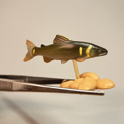 Yujin Freshwater Fish AYU SWEETFISH 2" Mini Figure Diorama Aquarium Toy Japan