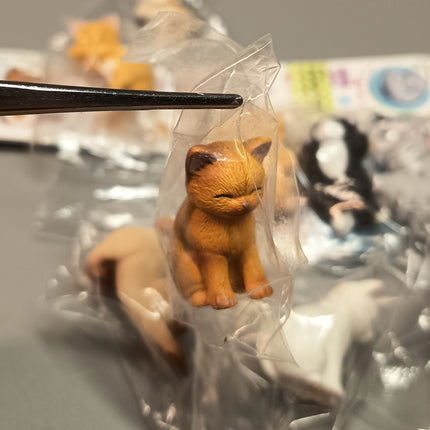 Sleeping Kitty Cats Lot of 10 – 1.5" Mini Figures Dollhouse Animals (Pre-Owned)