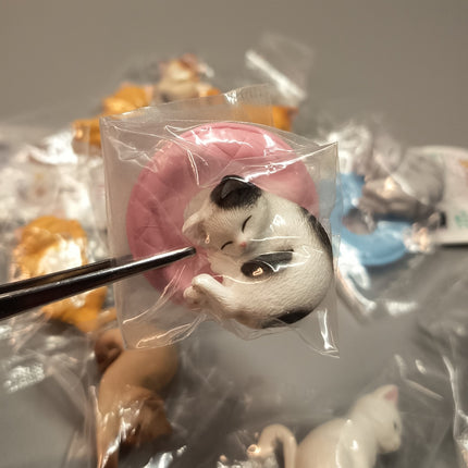 Sleeping Kitty Cats Lot of 10 – 1.5" Mini Figures Dollhouse Animals (Pre-Owned)
