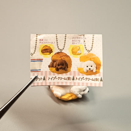 Miniature Toy Poodle Puppy in Cream Puff 1.5" Keychain Charm – Dollhouse Toy (Pre-Owned)