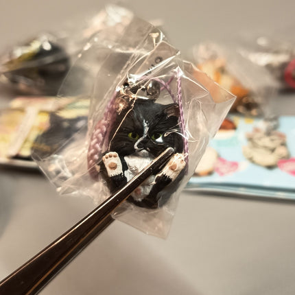 Miniature Adorable Kitty Cat Figures Lot of 8 – Keychain Dollhouse Toys (Pre-Owned)