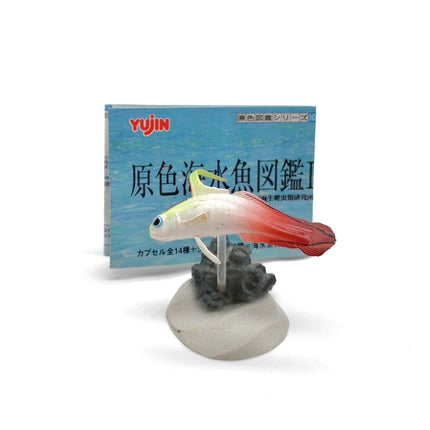 Saltwater Fish Encyclopedia GROUPER GOBY Mini Figure Diorama Yujin Rare
