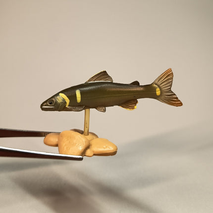 Yujin Freshwater Fish AYU SWEETFISH 2" Mini Figure Diorama Aquarium Toy Japan