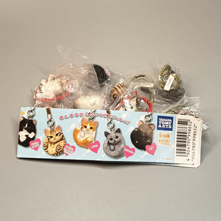 Miniature Adorable Kitty Cat Figures Lot of 8 – Keychain Dollhouse Toys (Pre-Owned)