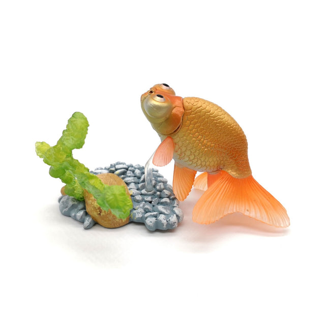 Yujin Freshwater Fishes Celestial Eye Goldfish – Mini Figure (Pre-Owned)