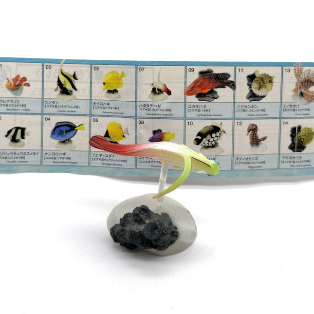 Saltwater Fish Encyclopedia GROUPER GOBY Mini Figure Diorama Yujin Rare