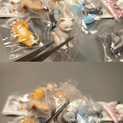 Sleeping Kitty Cats Lot of 10 – 1.5" Mini Figures Dollhouse Animals (Pre-Owned)