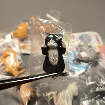 Sleeping Kitty Cats Lot of 10 – 1.5" Mini Figures Dollhouse Animals (Pre-Owned)