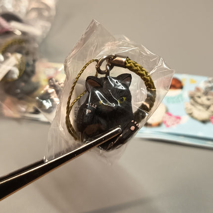 Miniature Adorable Kitty Cat Figures Lot of 8 – Keychain Dollhouse Toys (Pre-Owned)