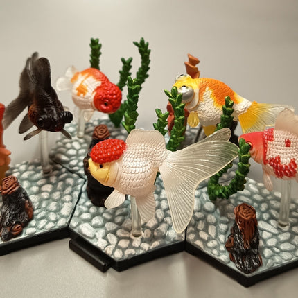 GOLDFISH Aquarium Lot of 5 Diorama Mini Figure ORANDA CELESTIAL EYE TELESCOPE