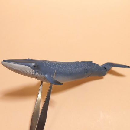 Poseable Blue Whale 6" Mini Figure – ANIA Takara Tomy (Pre-Owned)