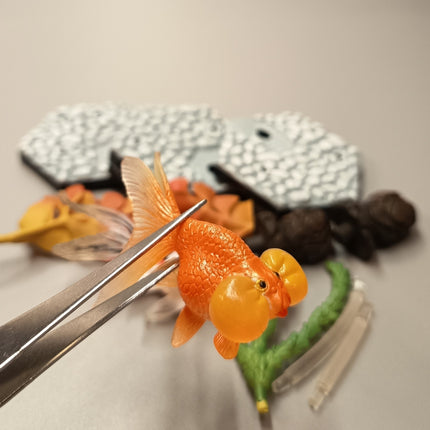 GOLDFISH Aquarium Lot of 5 Diorama Mini Figure ORANDA CELESTIAL EYE TELESCOPE