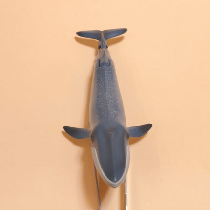 Poseable Blue Whale 6" Mini Figure – ANIA Takara Tomy (Pre-Owned)