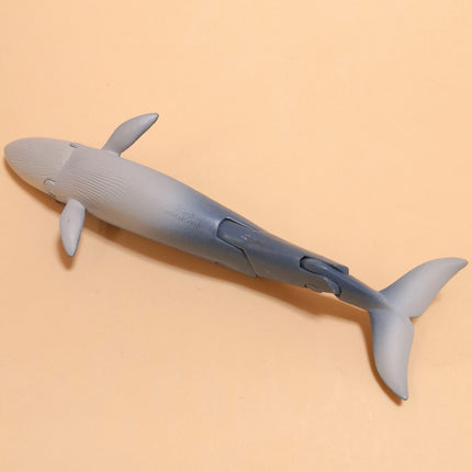 Poseable Blue Whale 6" Mini Figure – ANIA Takara Tomy (Pre-Owned)