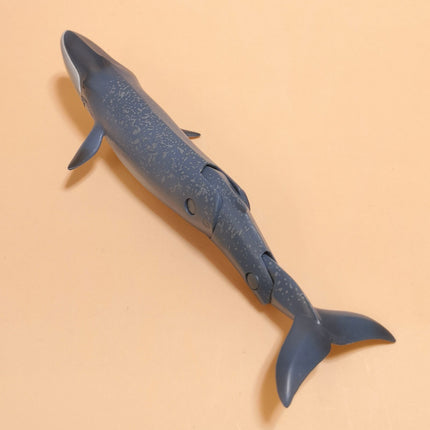 Poseable Blue Whale 6" Mini Figure – ANIA Takara Tomy (Pre-Owned)