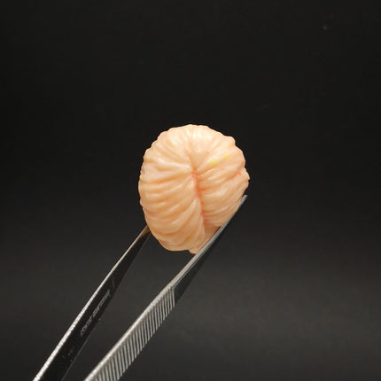 Star Wars Luke Skywalker Head Only – 1/6 Scale Unpainted Prototype (Pre-Owned)