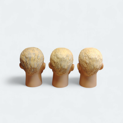 1/6 Scale Male Painted Head Sculpt – Lot of 3 (Pre-Owned)